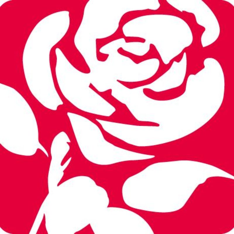 Labour Party rose
